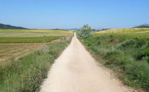 Camino bei Schönwetter